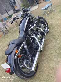 Harley Davidson 1200 Custom 2020