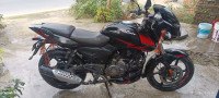 Black Red Bajaj Pulsar 150 Twin Disc BS6