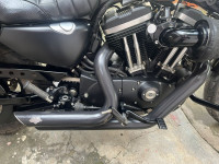 Harley Davidson Iron 883