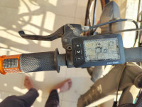 Black Being Human BH27