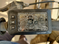 Black Being Human BH27