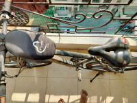 Black Being Human BH27