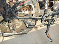 Black Being Human BH27