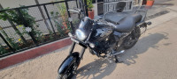 Black Bajaj Avenger Street 160 BS6