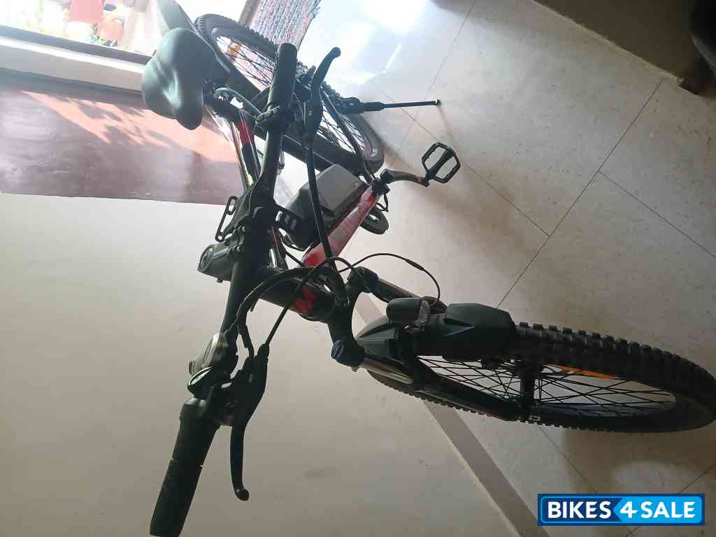 EMotorad T-Rex + EMotorad T-Rex +