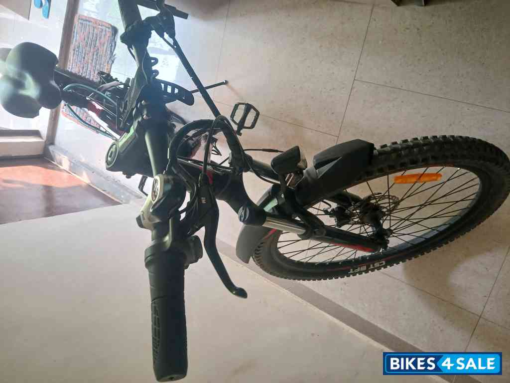 EMotorad T-Rex + EMotorad T-Rex +