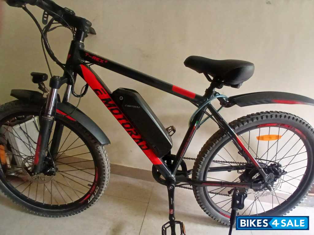 EMotorad T-Rex + EMotorad T-Rex +