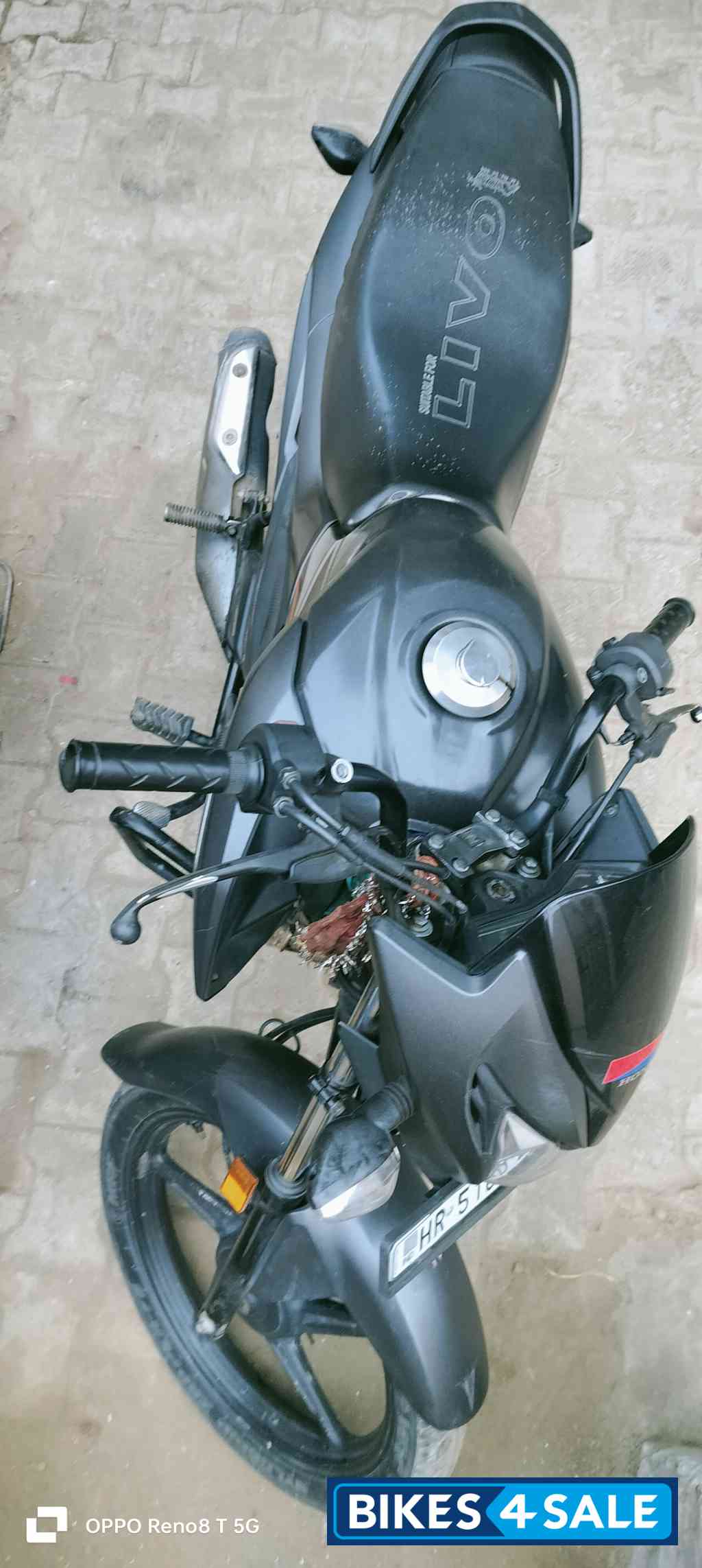 Honda Livo Drum