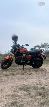 TVS Ronin TD Special Edition 2023 Model