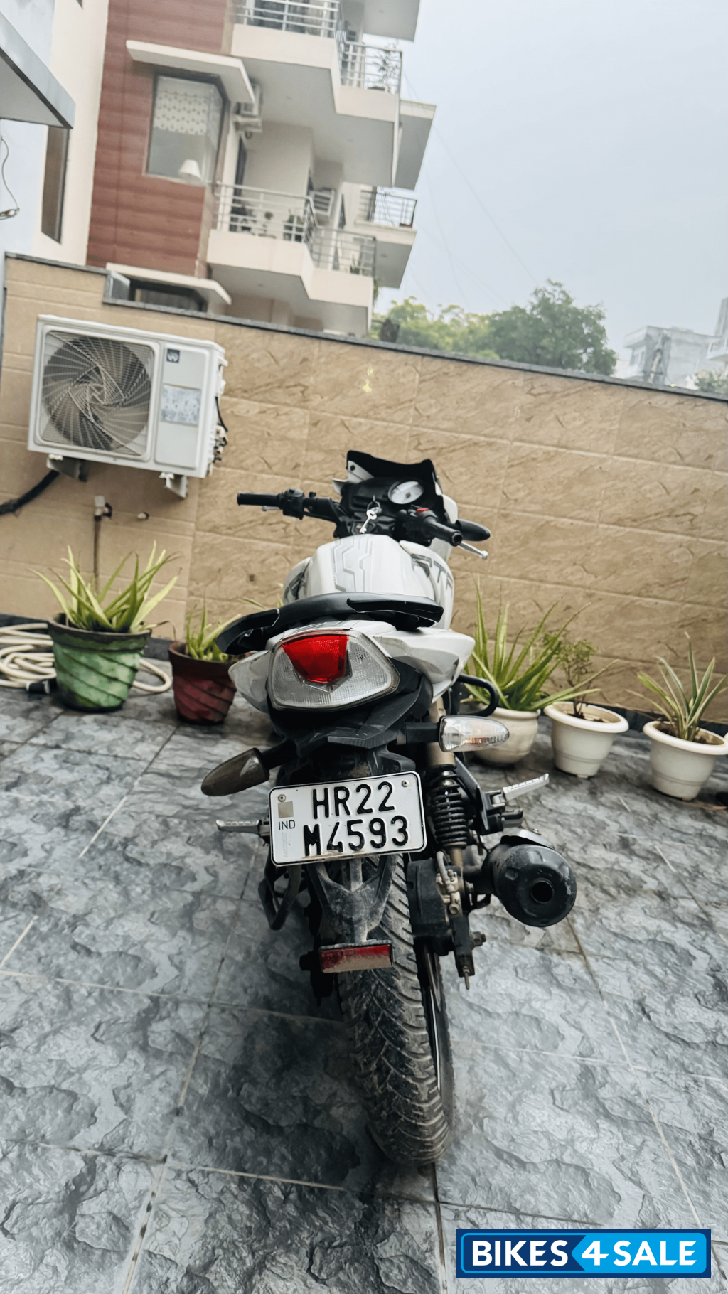 White TVS Apache RTR 180
