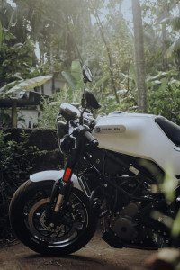 Husqvarna Vitpilen 250 2024