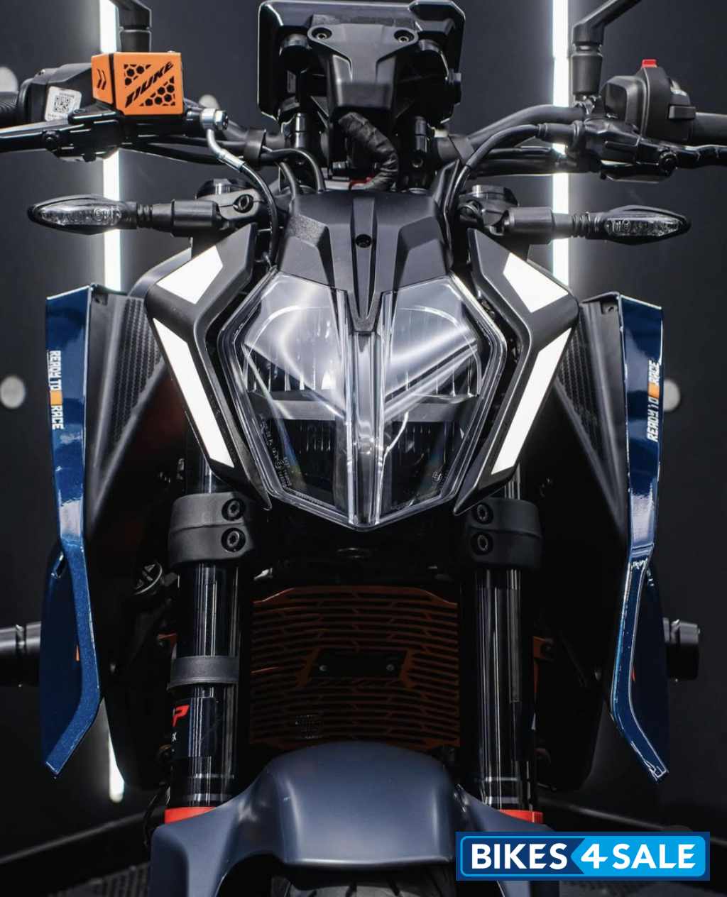 Bule KTM Duke 390 2024
