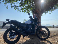 White Gloss Yezdi Adventure Gloss 2024