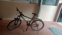 Bicycle  Globate Grande 2020 Model