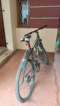 Bicycle  Globate Grande