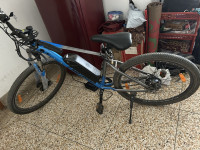 Bicycle EMotorad 2024 Model