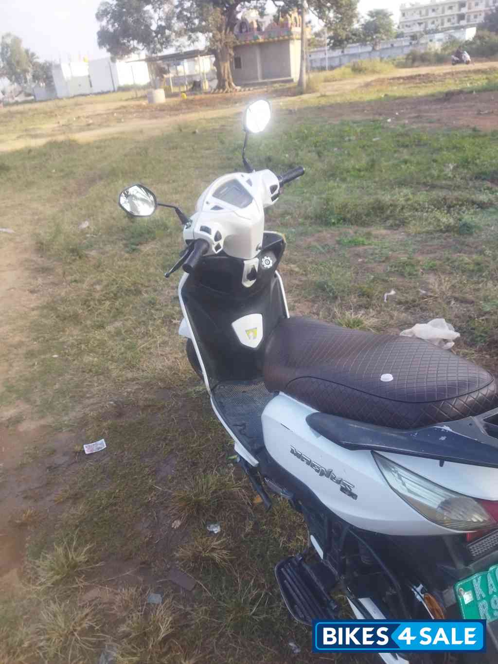 White Ampere Magnus Ex