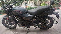 Black Harley Davidson X 440