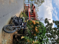 Lunar White Yezdi Roadster Dual Tone