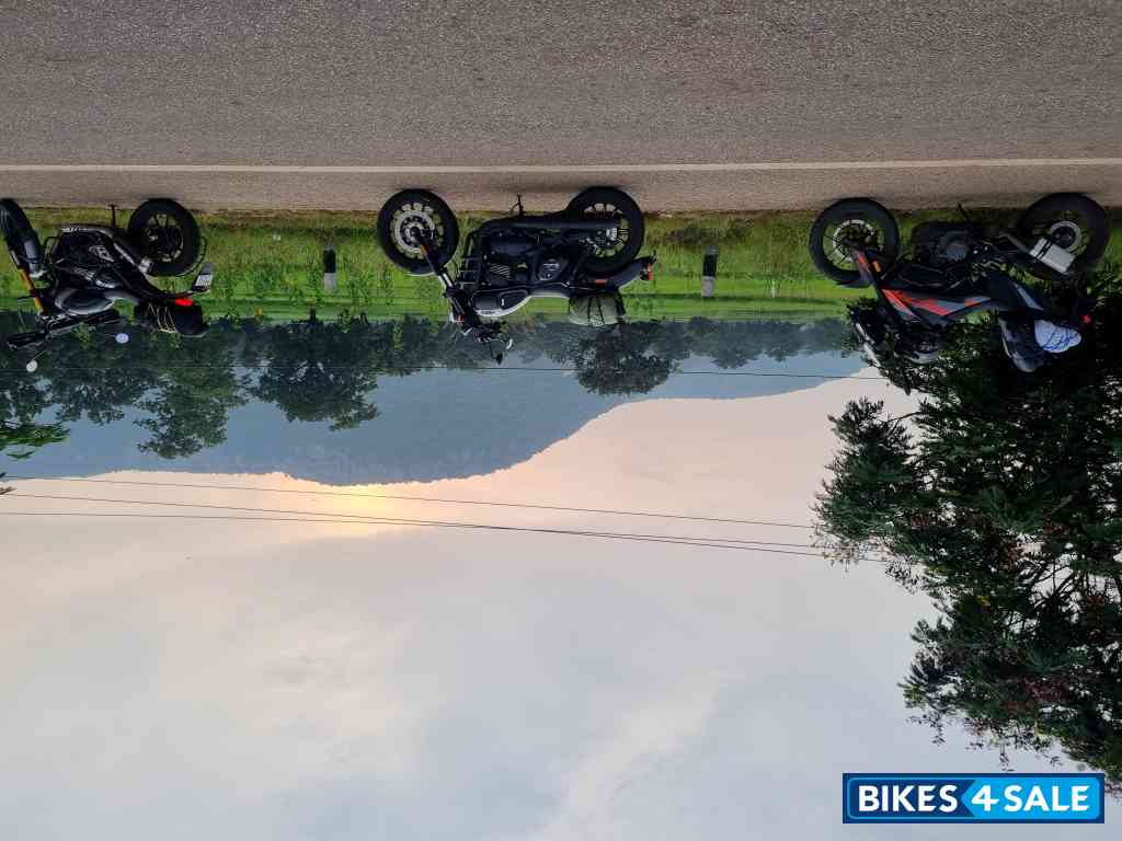 Lunar White Yezdi Roadster Dual Tone Lunar White Yezdi Roadster Dual Tone