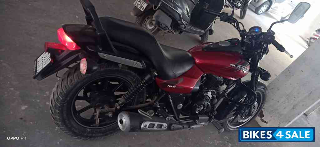 Spicy Red Bajaj Avenger Street 180