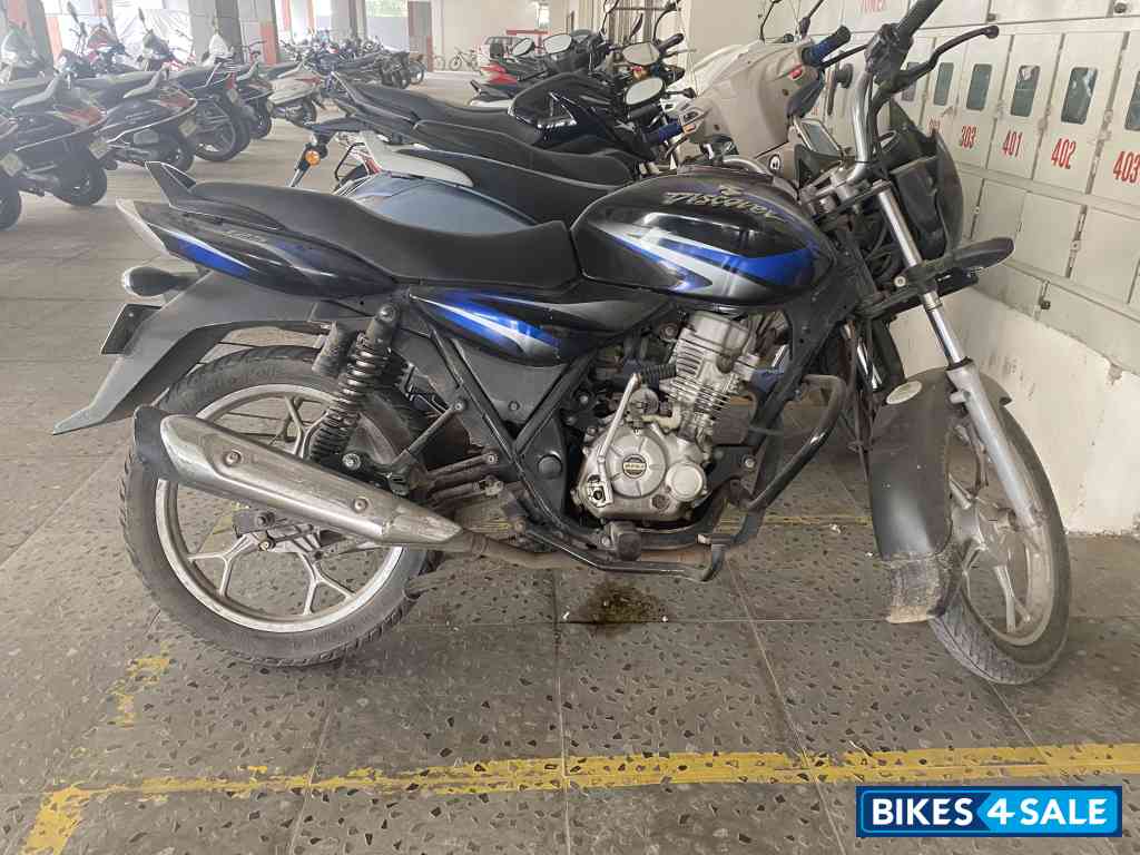 Ebony Blk Blue Dkl Bajaj Discover 125