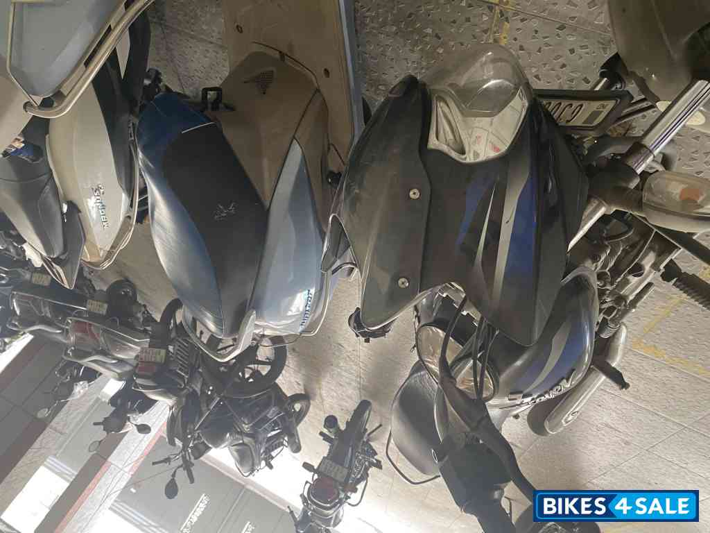 Ebony Blk Blue Dkl Bajaj Discover 125 Ebony Blk Blue Dkl Bajaj Discover 125