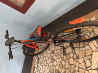 Bicycle  Mountain rider 2024 Model