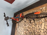 Bicycle  Mountain rider