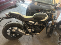 Triumph Scrambler 400 X