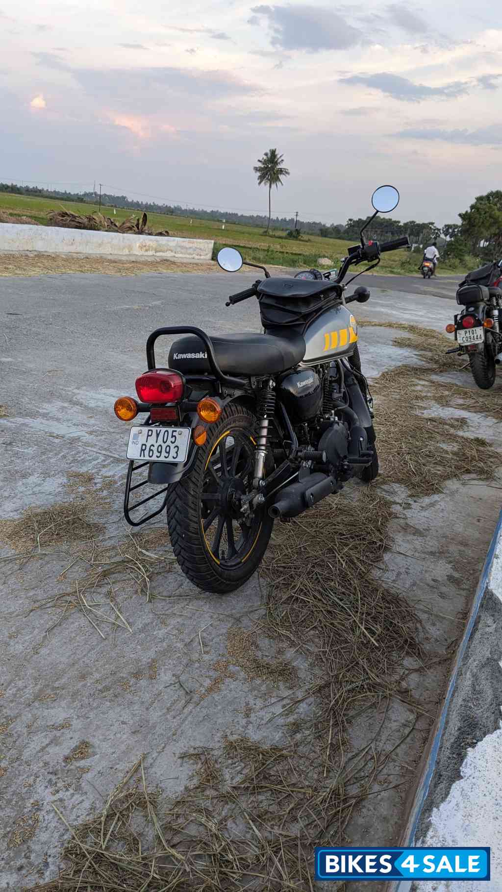 Kawasaki W175 Street Kawasaki W175 Street