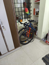 Hornback X1 Foldable E-Bike 2024 Model