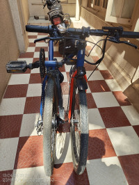 Hornback X1 Foldable E-Bike