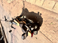 Bajaj Avenger Cruise 220