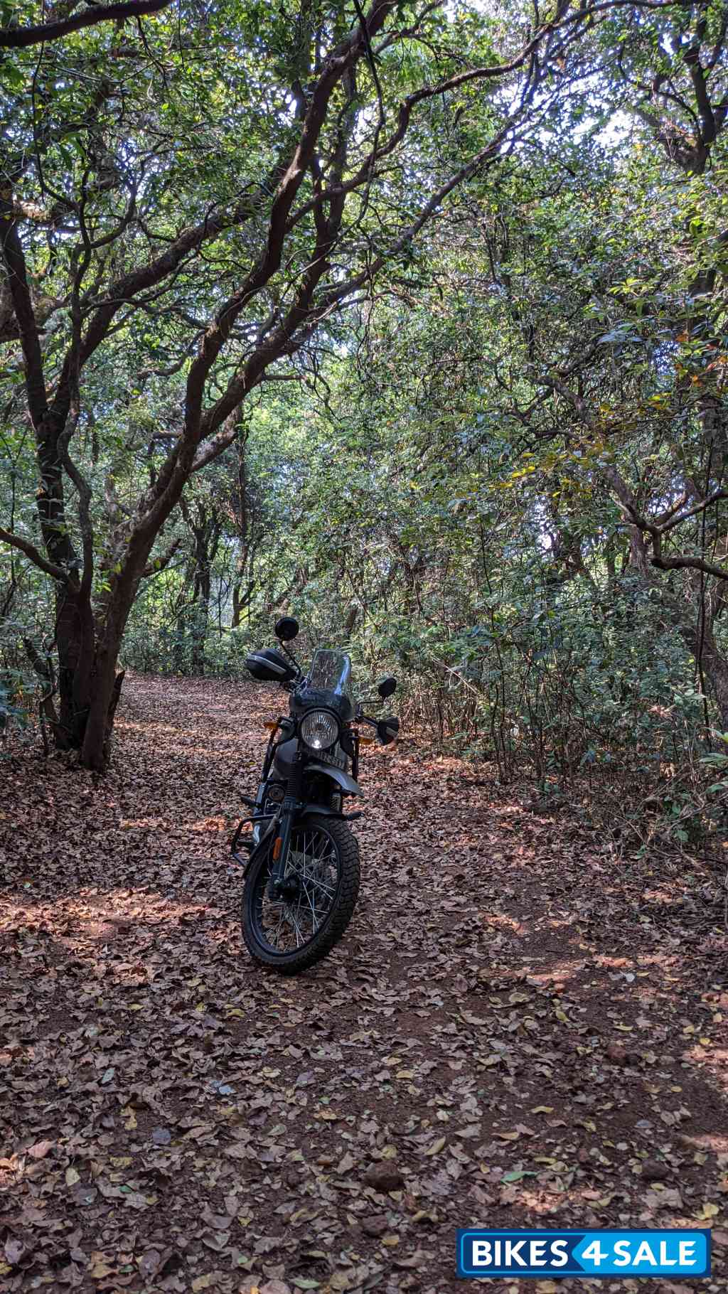 Gravel Grey Royal Enfield Himalayan BS VI