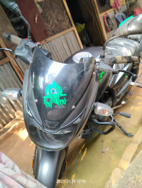 Tree Frog Green Bajaj Pulsar 125 Split Seat
