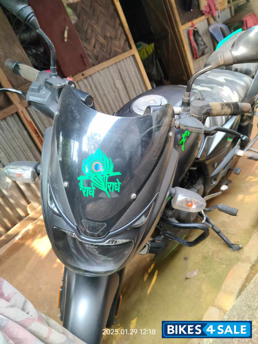 Tree Frog Green Bajaj Pulsar 125 Split Seat