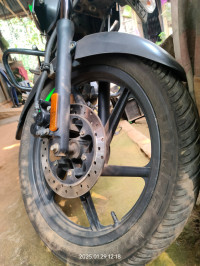 Tree Frog Green Bajaj Pulsar 125 Split Seat
