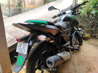 Tree Frog Green Bajaj Pulsar 125 Split Seat