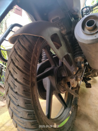 Tree Frog Green Bajaj Pulsar 125 Split Seat