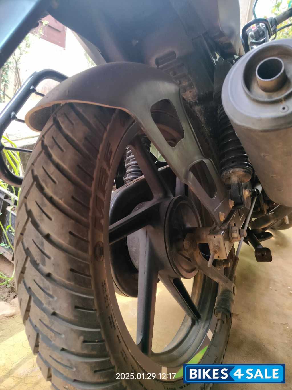 Tree Frog Green Bajaj Pulsar 125 Split Seat