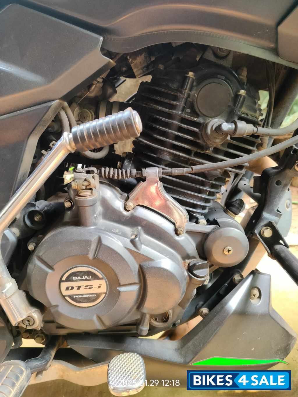 Tree Frog Green Bajaj Pulsar 125 Split Seat