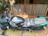 Tree Frog Green Bajaj Pulsar 125 Split Seat