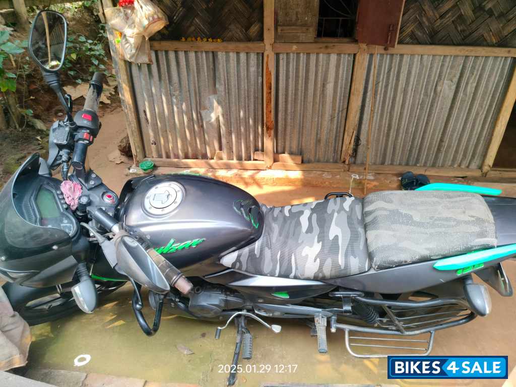 Tree Frog Green Bajaj Pulsar 125 Split Seat