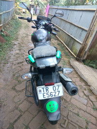 Tree Frog Green Bajaj Pulsar 125 Split Seat