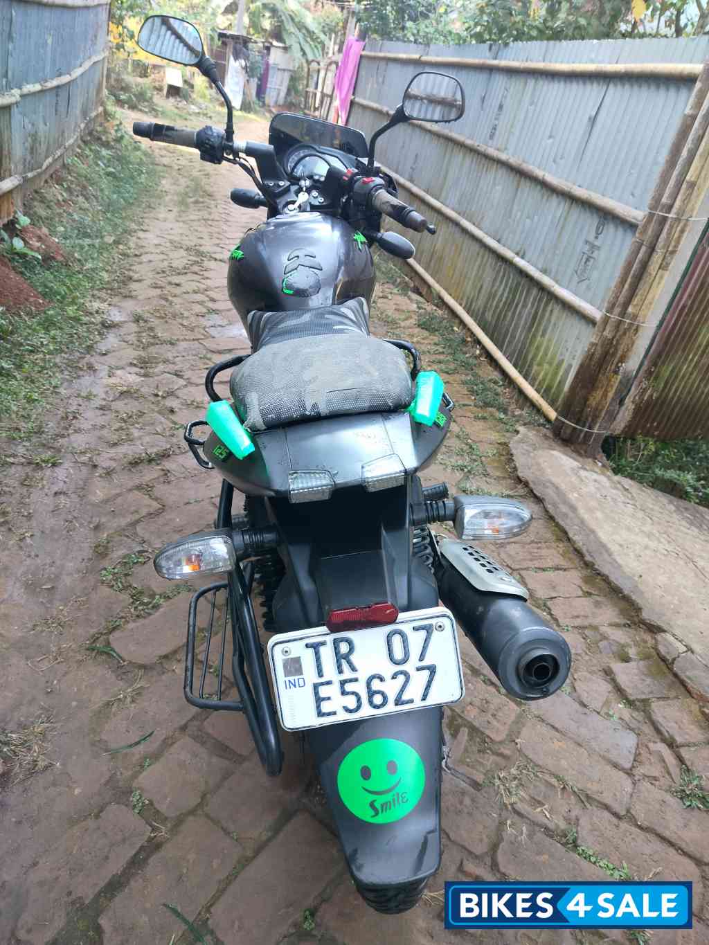 Tree Frog Green Bajaj Pulsar 125 Split Seat