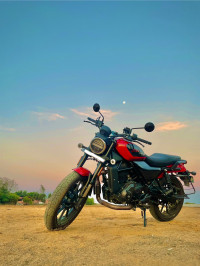 Harley Davidson X440 Vivid 2024 Model