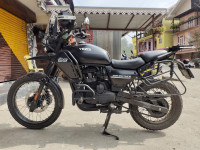 Tornado Black Yezdi Adventure Matte 2024