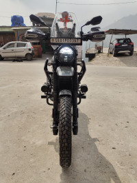 Tornado Black Yezdi Adventure Matte 2024