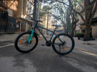 Ninety One  Snow leopard 2023 Model